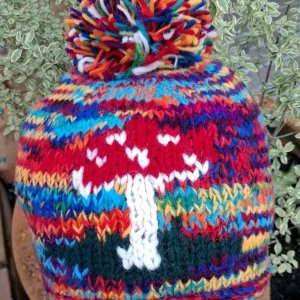 rainbow mushroom wool hat